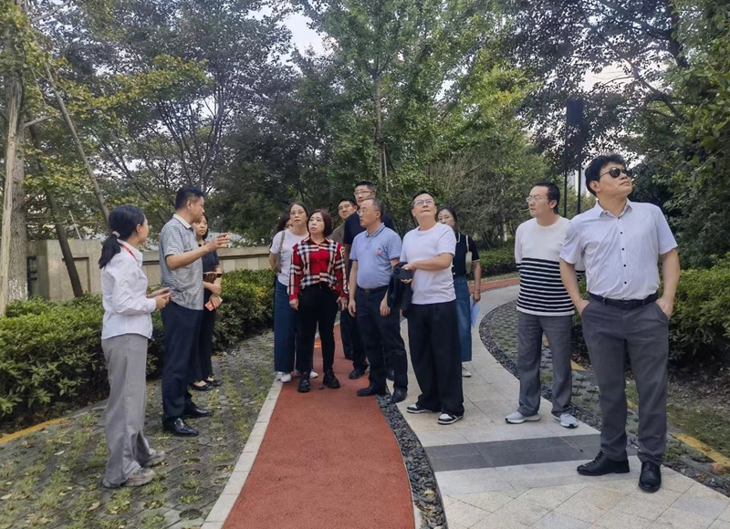 网站三.jpg