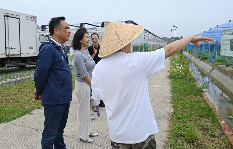 网站1.jpg