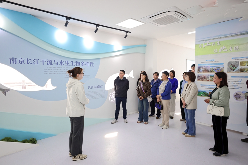 1774860780763059091.jpg 致绿北岸4_副本.jpg