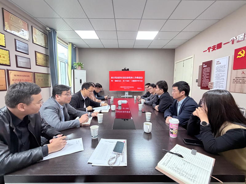 致公党高淳区基层委开展“参政为公、实干为…