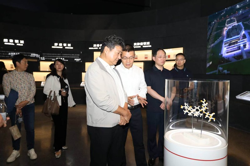 市委会搭台 基层委唱戏——致公党南京市委…